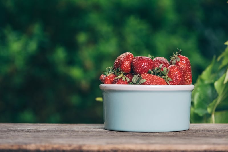 Forest Berries Dessert