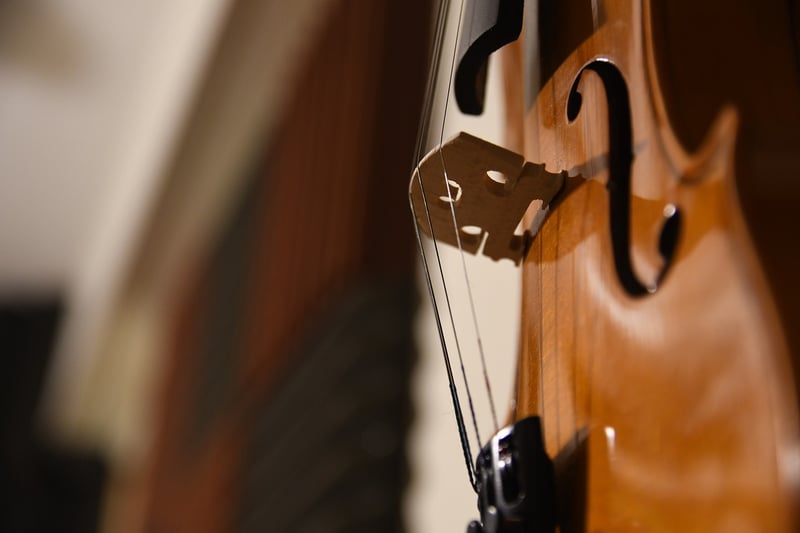 Forest Symphony